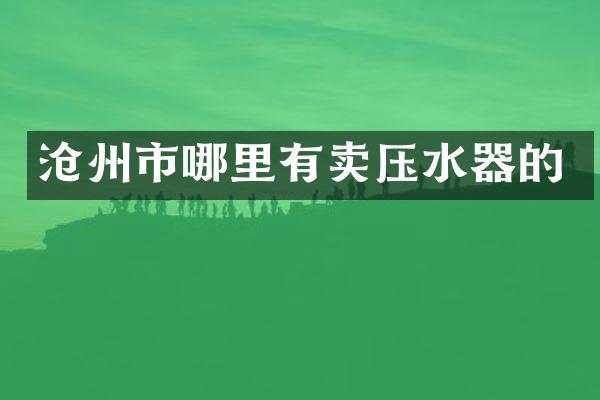 沧州市哪里有卖压水器的