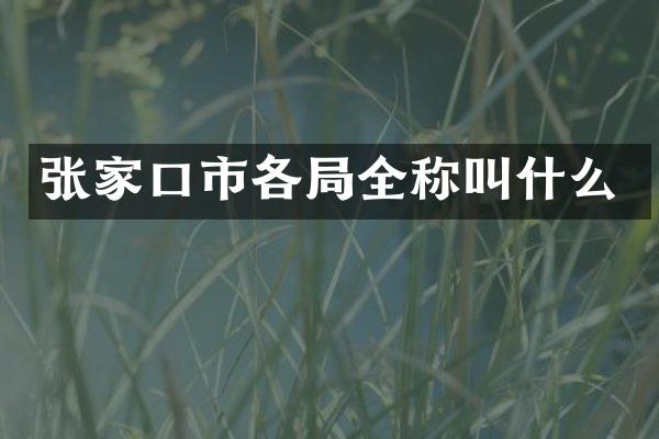张家口市各局全称叫什么