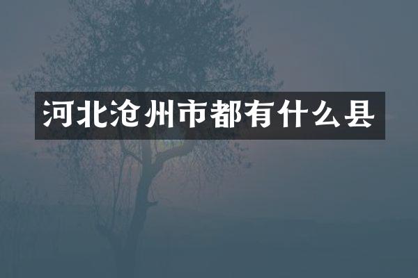 河北沧州市都有什么县