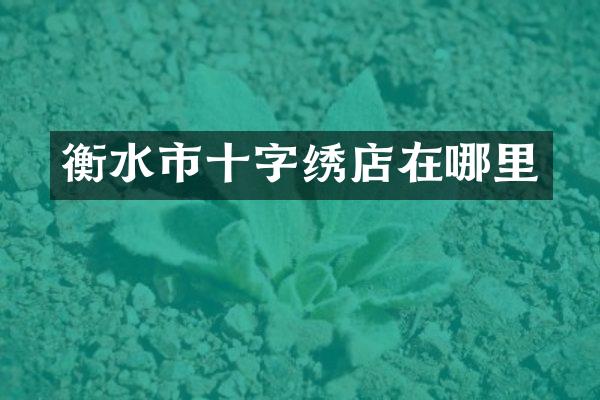 衡水市十字绣店在哪里