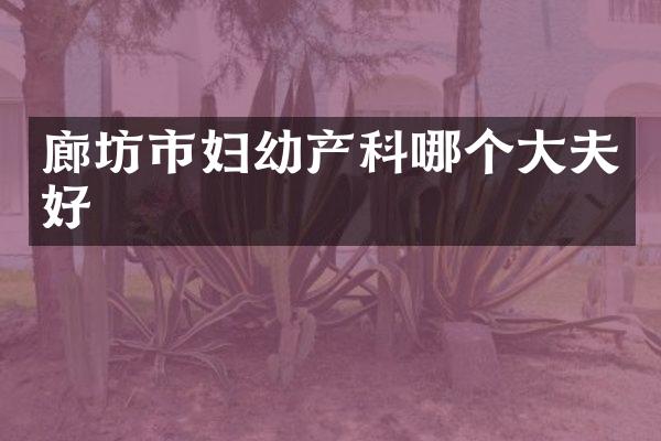 廊坊市妇幼产科哪个大夫好