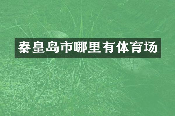 秦皇岛市哪里有体育场