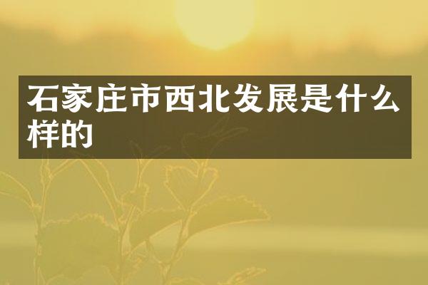 石家庄市西北发展是什么样的