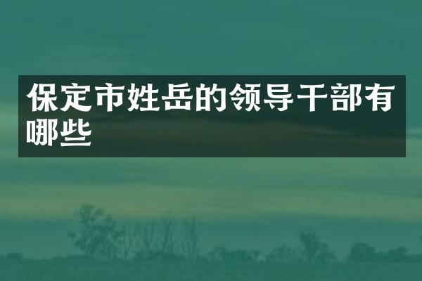 保定市姓岳的领导干部有哪些