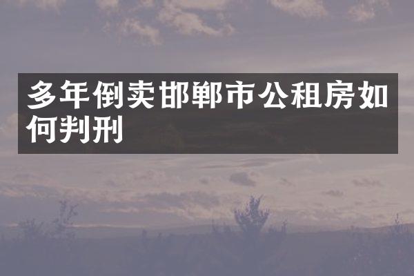多年倒卖邯郸市公租房如何判刑