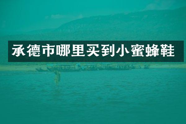 承德市哪里买到小蜜蜂鞋