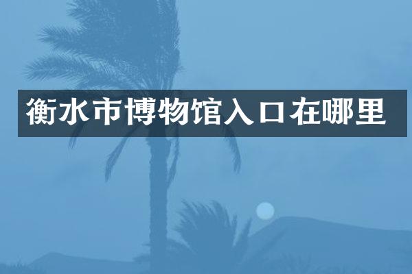 衡水市博物馆入口在哪里