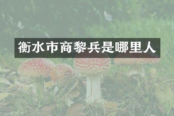 衡水市商黎兵是哪里人