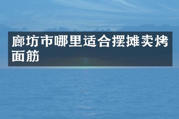 廊坊市哪里适合摆摊卖烤面筋