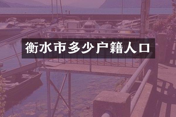 衡水市多少户籍人口