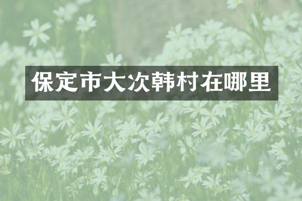 保定市大次韩村在哪里