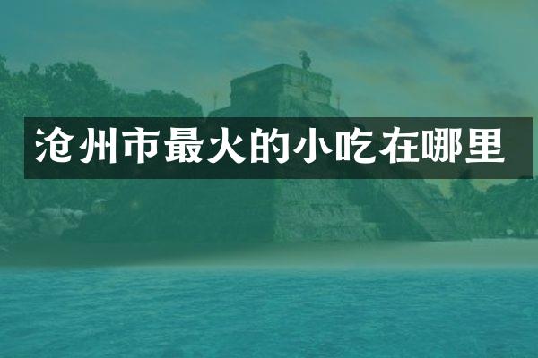 沧州市最火的小吃在哪里