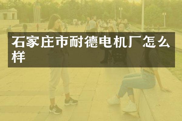 石家庄市耐德电机厂怎么样