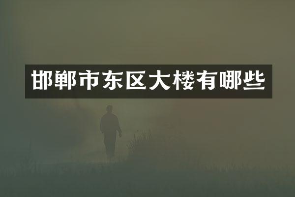 邯郸市东区大楼有哪些