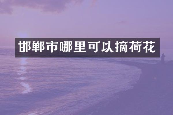 邯郸市哪里可以摘荷花