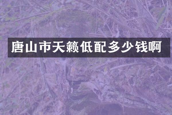 唐山市天籁低配多少钱啊