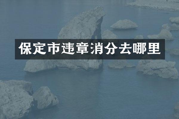 保定市违章消分去哪里