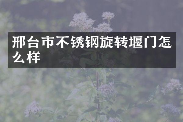 邢台市不锈钢旋转堰门怎么样