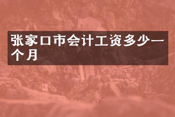 张家口市会计工资多少一个月