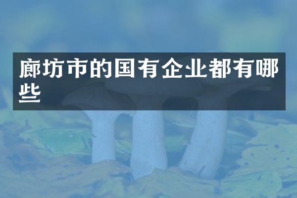 廊坊市的国有企业都有哪些