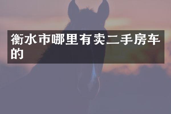 衡水市哪里有卖二手房车的