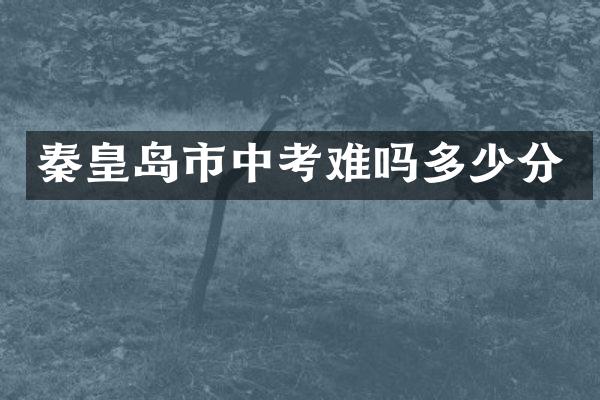 秦皇岛市中考难吗多少分