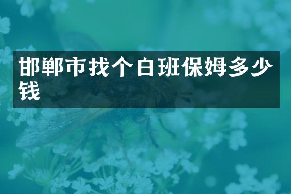 邯郸市找个白班保姆多少钱