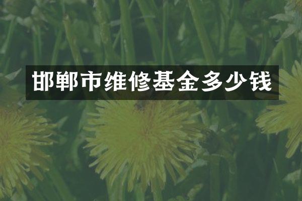 邯郸市维修基金多少钱