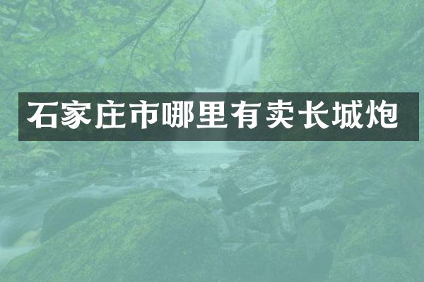 石家庄市哪里有卖长城炮