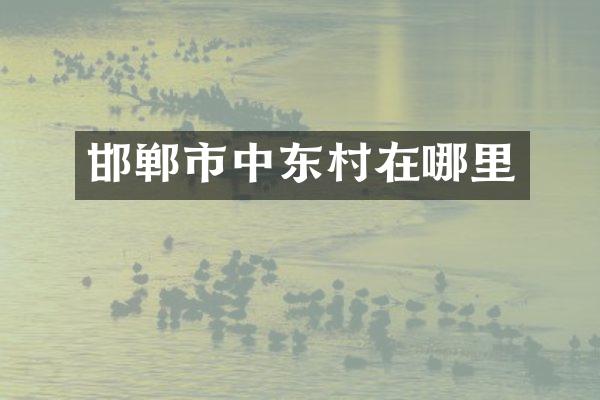 邯郸市中东村在哪里