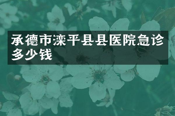 承德市滦平县县医院急诊多少钱