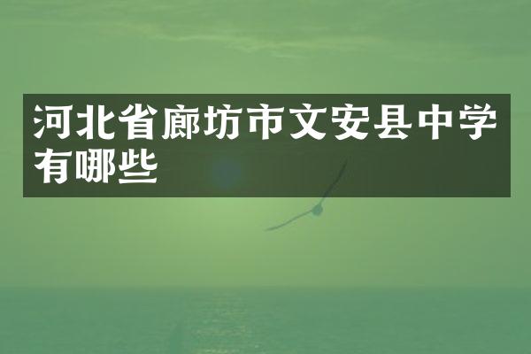 河北省廊坊市文安县中学有哪些