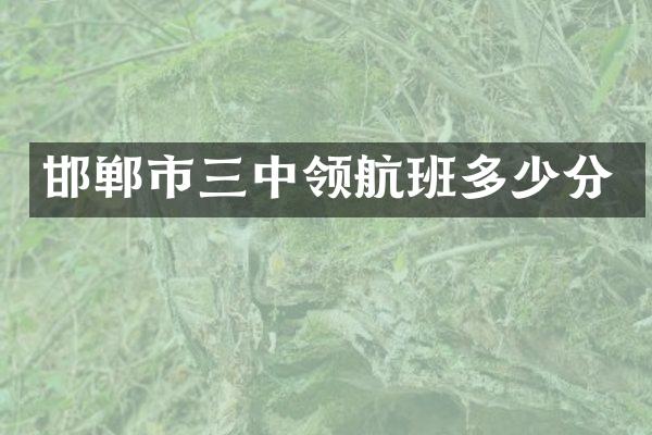 邯郸市三中领航班多少分