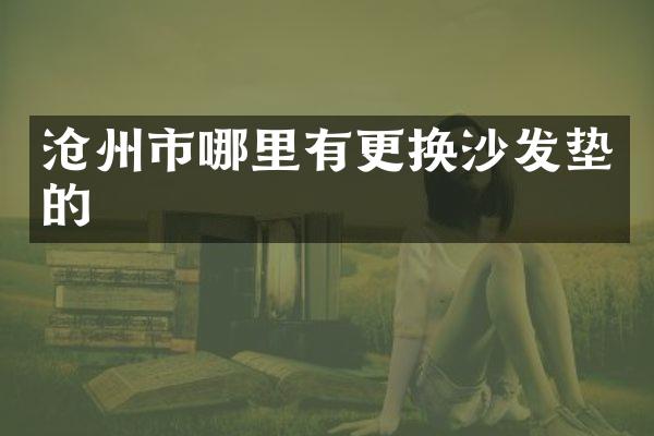 沧州市哪里有更换沙发垫的
