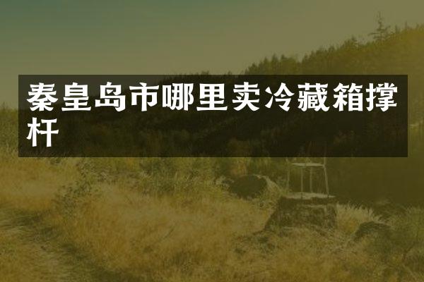 秦皇岛市哪里卖冷藏箱撑杆