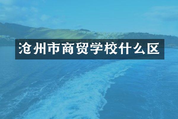 沧州市商贸学校什么区