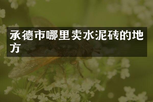 承德市哪里卖水泥砖的地方