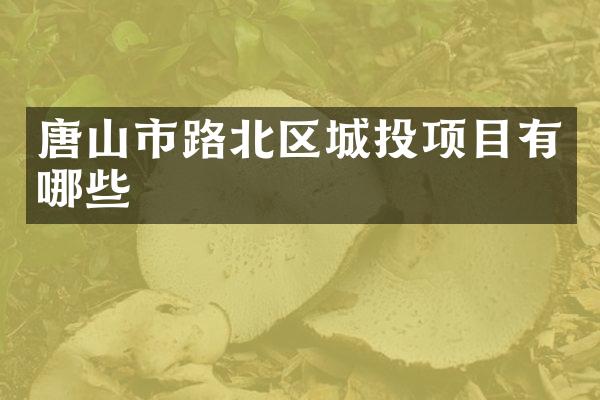 唐山市路北区城投项目有哪些