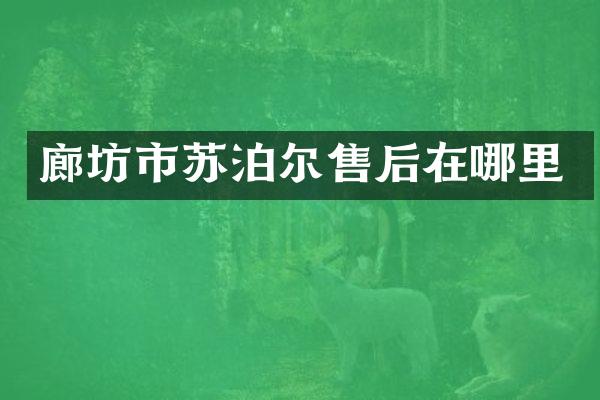 廊坊市苏泊尔售后在哪里