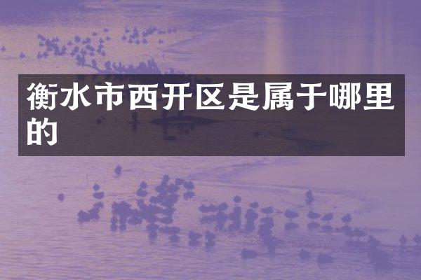 衡水市西开区是属于哪里的