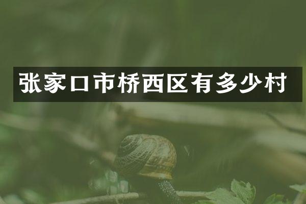 张家口市桥西区有多少村