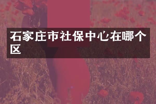 石家庄市社保中心在哪个区
