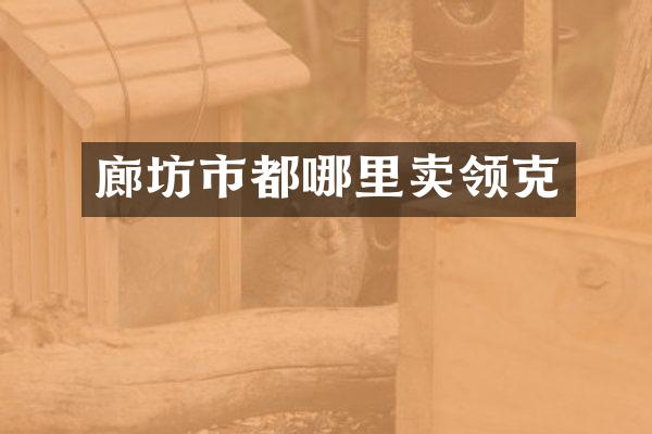 廊坊市都哪里卖领克