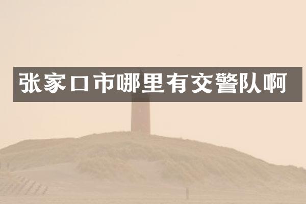 张家口市哪里有交警队啊