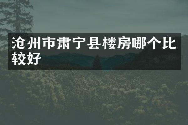 沧州市肃宁县楼房哪个比较好