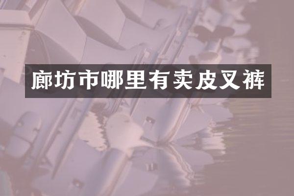 廊坊市哪里有卖皮叉裤