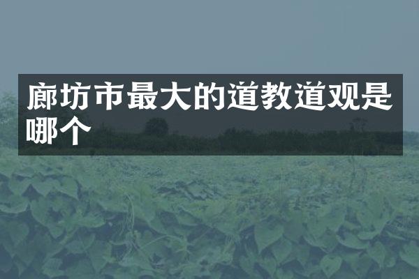 廊坊市最大的道教道观是哪个