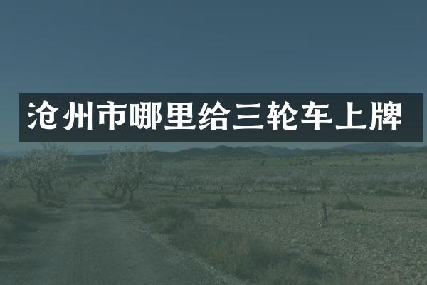 沧州市哪里给三轮车上牌