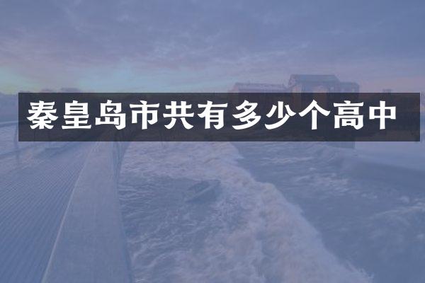 秦皇岛市共有多少个高中