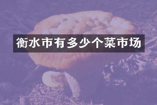 衡水市有多少个菜市场